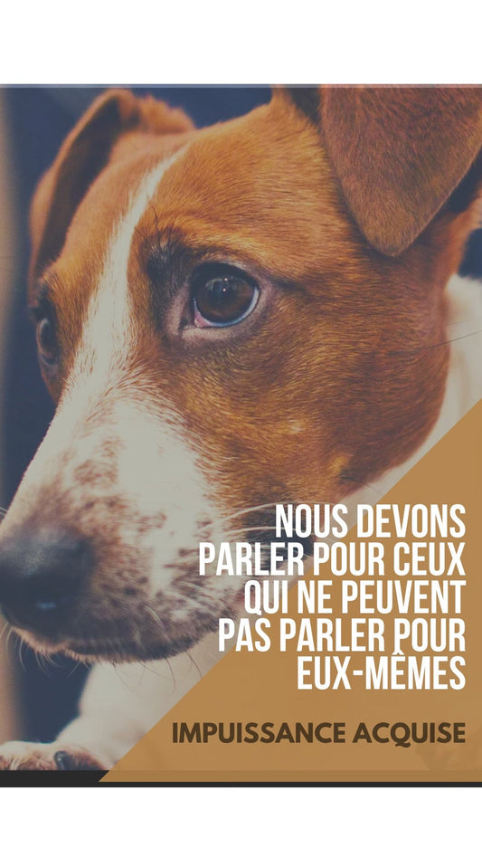 L'impuissance Acquise