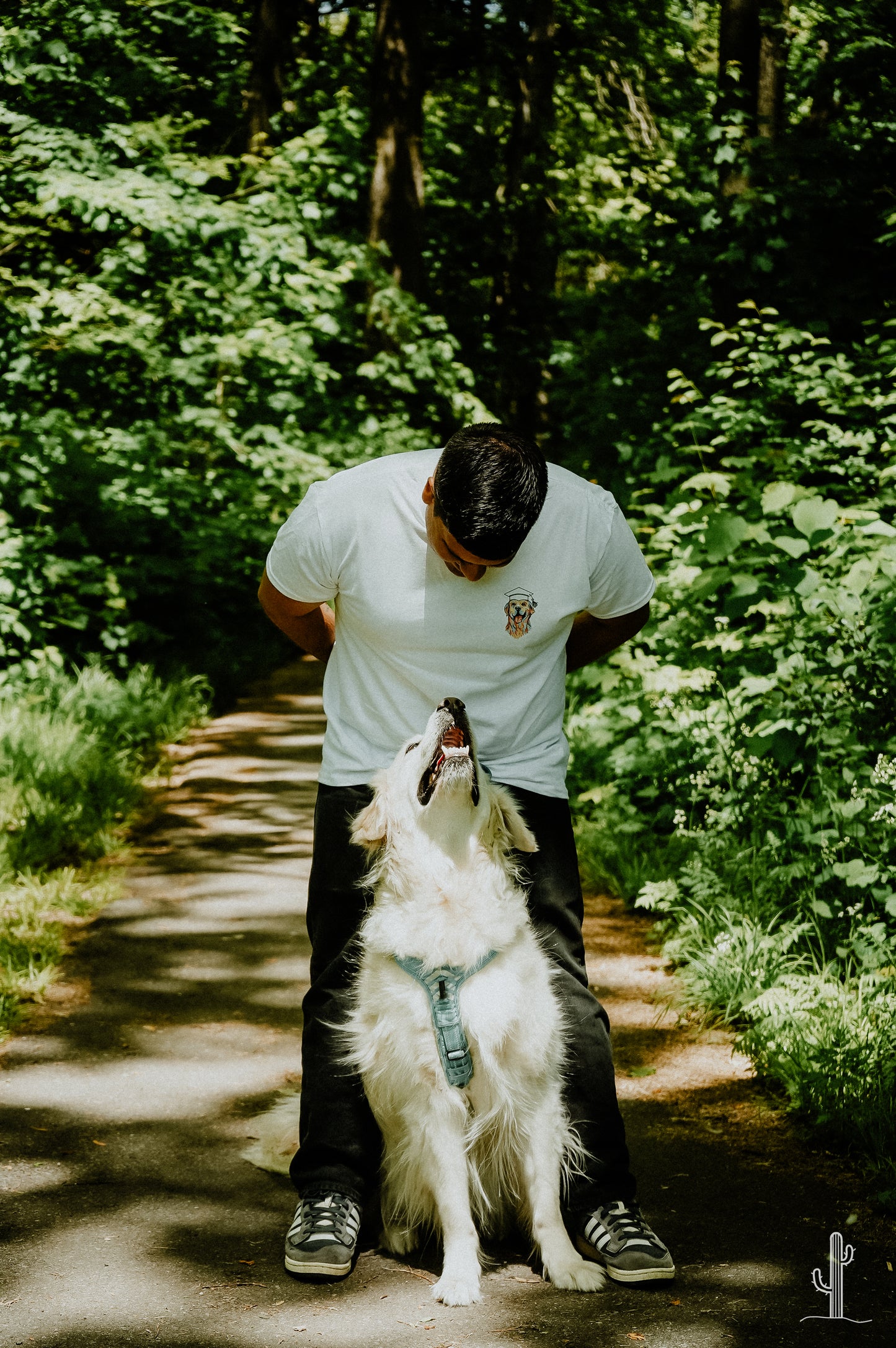 Cours un à un avec le chien