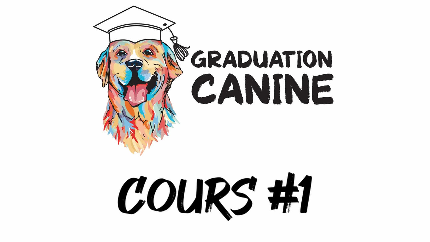 Formations en ligne