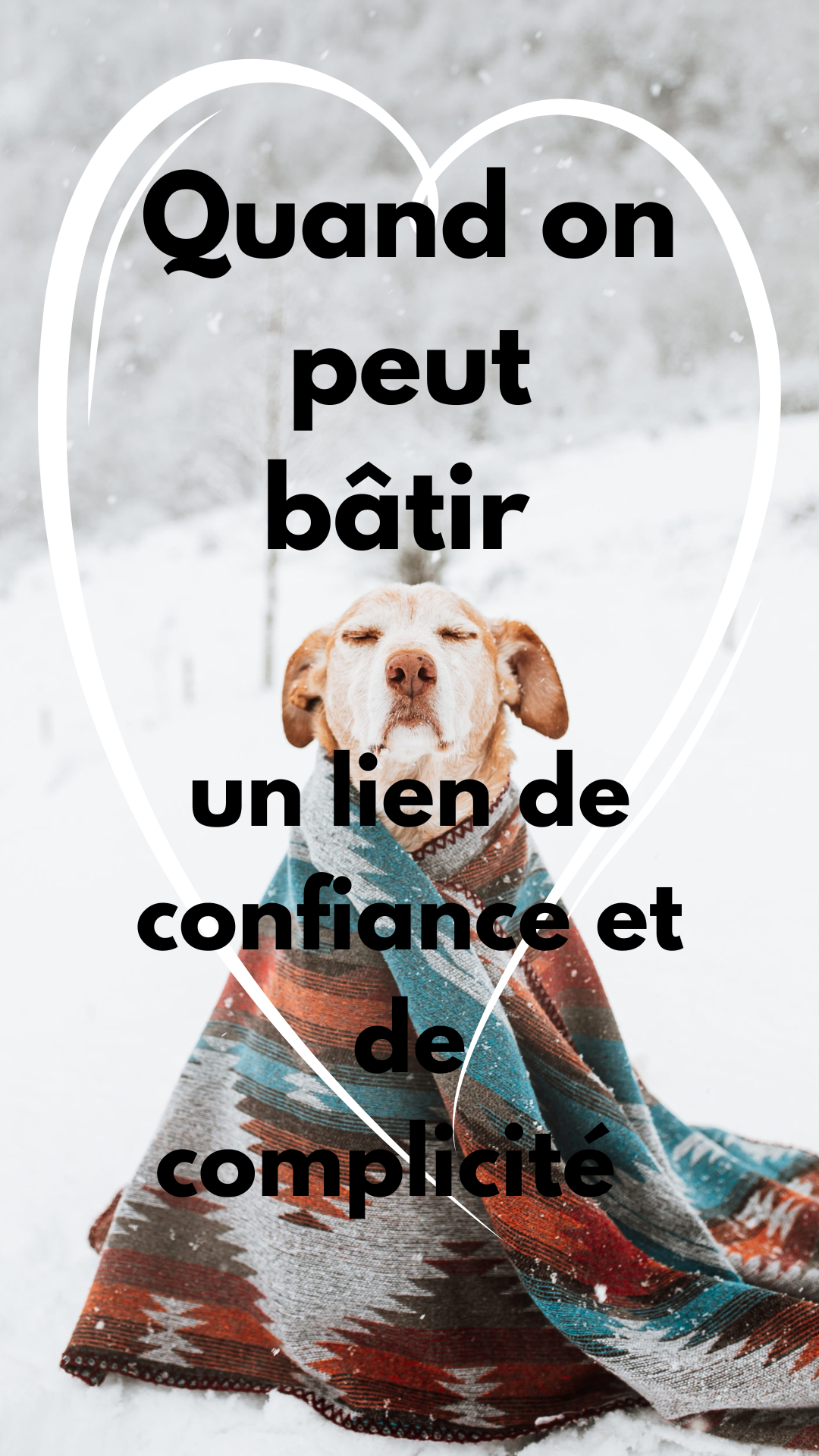 Pourquoi corriger un comportement avec la douleur ou la peur?