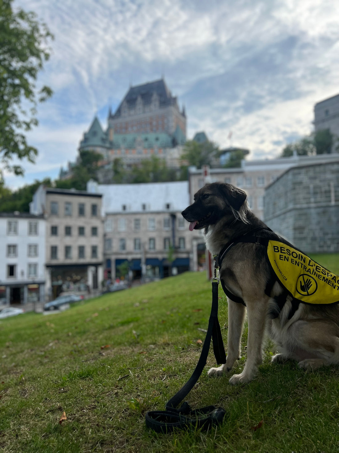 La Réactivité