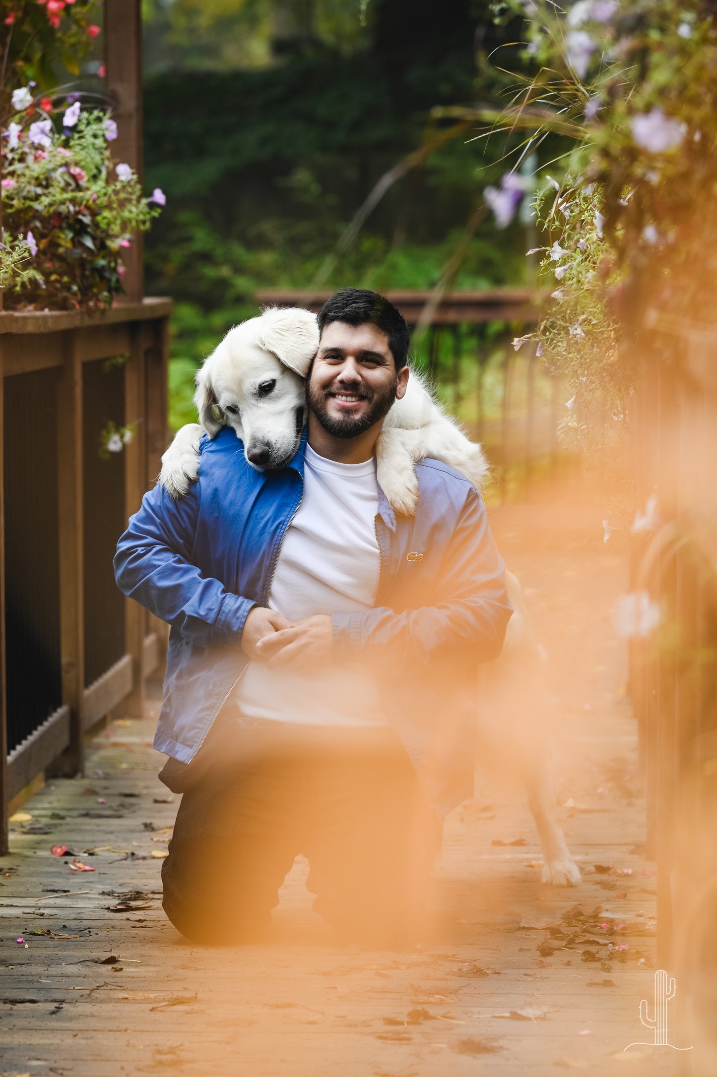 Clases para perros adolescentes y adultos